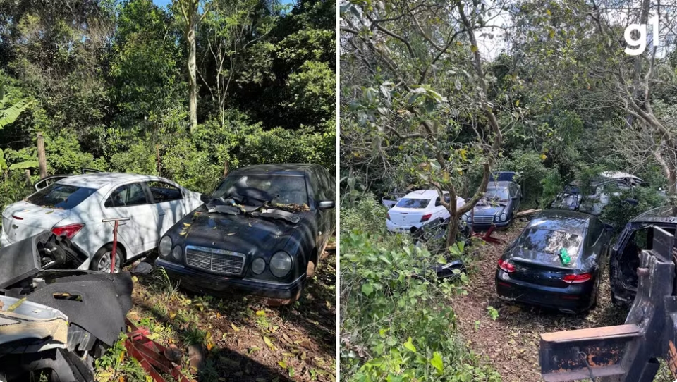 Depósito clandestino de carros roubados é descoberto em sítio no RS; homem é preso por receptação de veículos