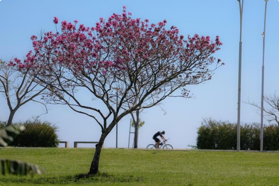 Sol e frio chegam ao RS após fim de instabilidade; confira tendência para a primavera no estado